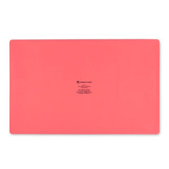 Pokémon Playful Partners Silicone Mat
