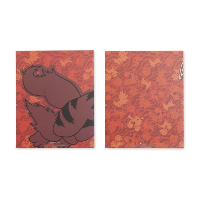 Fire Forms Pokémon Fundamentals Folders (2-Pack)