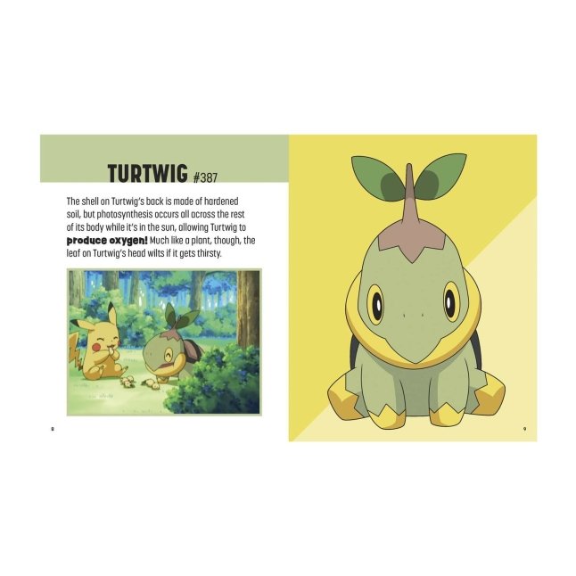 Pokémon: Trainer's Mini Exploration Guide to Sinnoh