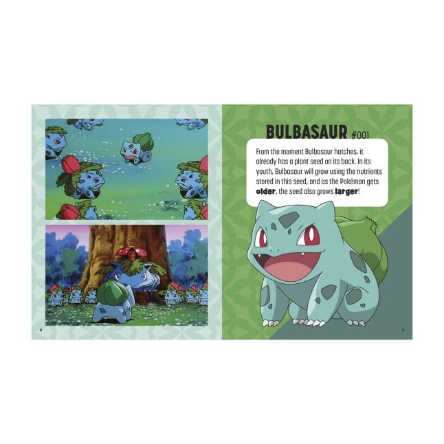 Pokémon: Trainer's Mini Exploration Guide to Kanto